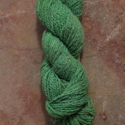 Fall Trends Collection